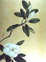 M964.1.102, Magnolia, by Elizabeth Duer